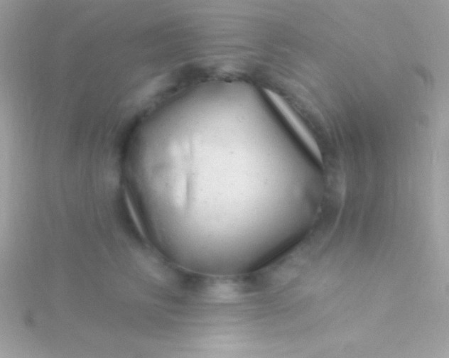 X0000115730710200911251938