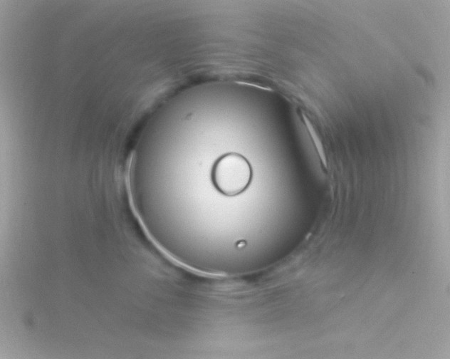 X0000115730716200911251938