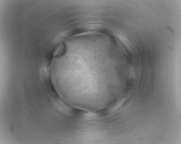 X0000115730718200911251938