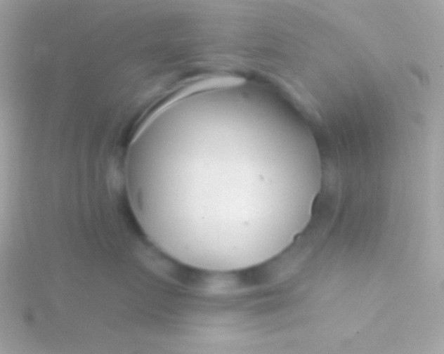 X0000115730719200911251938