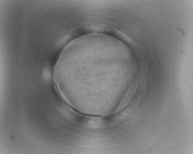 X0000115730720200911251938