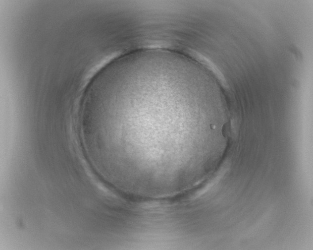 X0000115730721200911251937