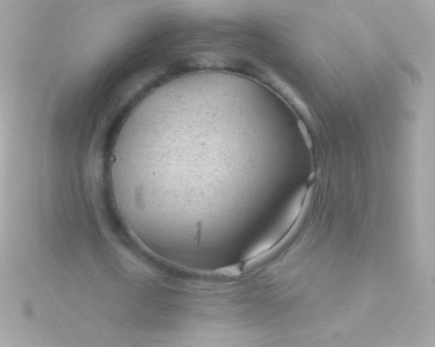 X0000115730722200911251937