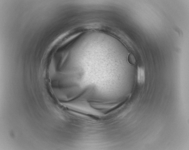 X0000115730723200911251937