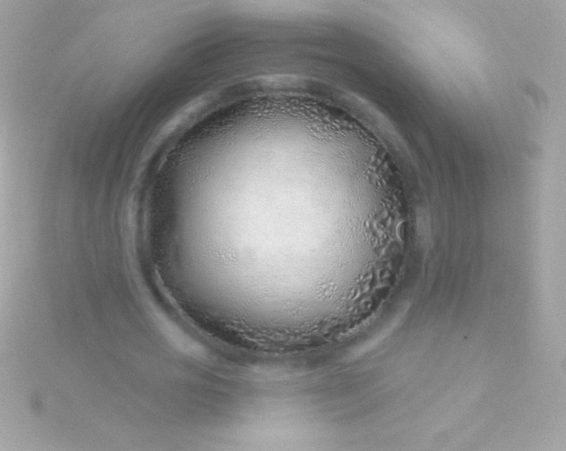 X0000115730725200911251937