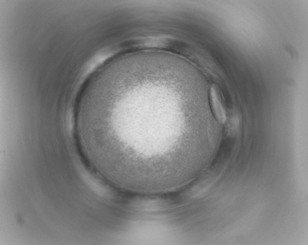 X0000115730726200911251937