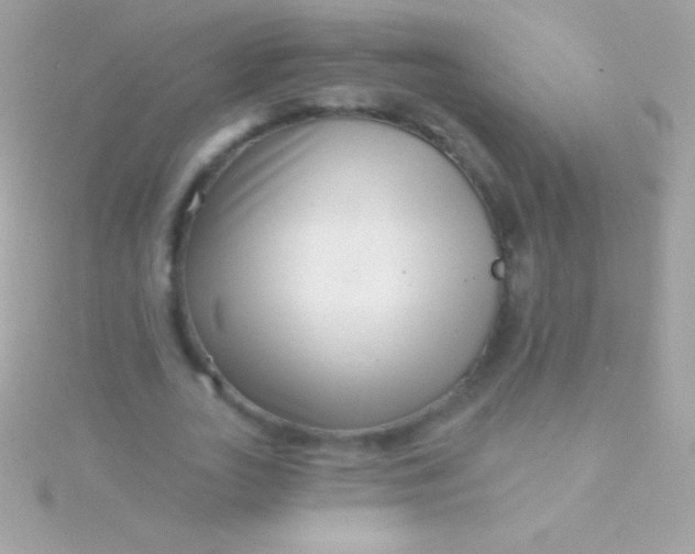 X0000115730727200911251937