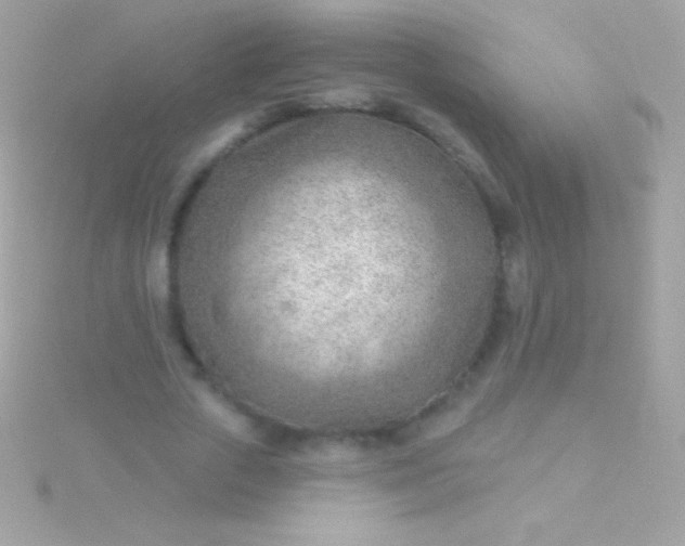 X0000115730729200911251937