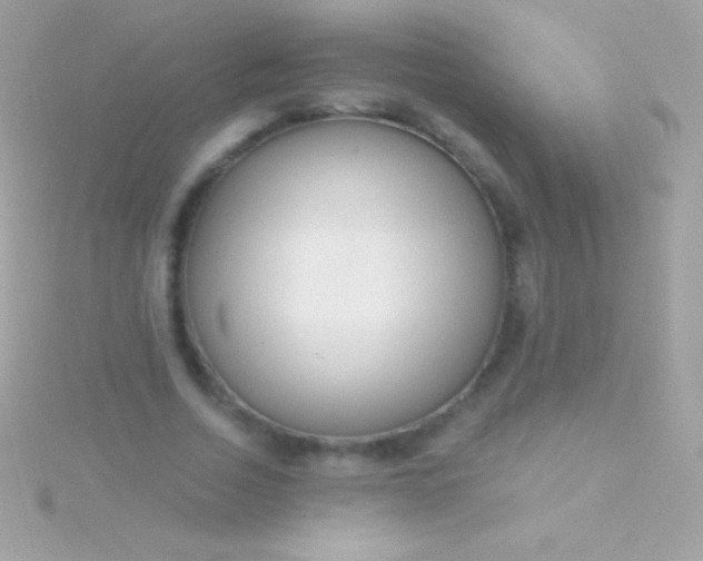 X0000115730730200911251937