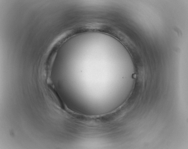 X0000115730731200911251937