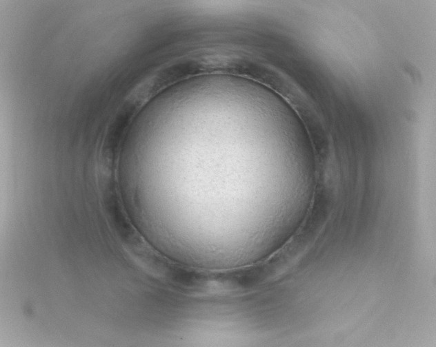 X0000115730737200911251937