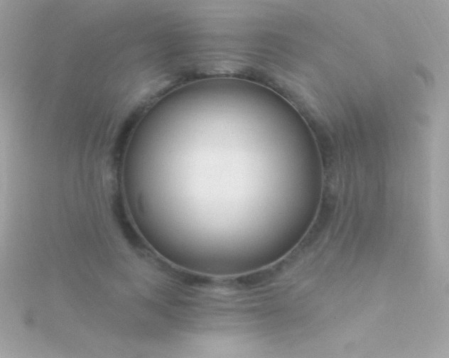 X0000115730743200911251938