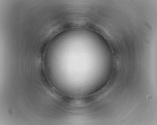 X0000115730745200911251938