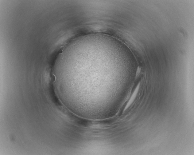 X0000115730746200911251938