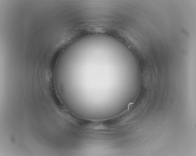 X0000115730747200911251938