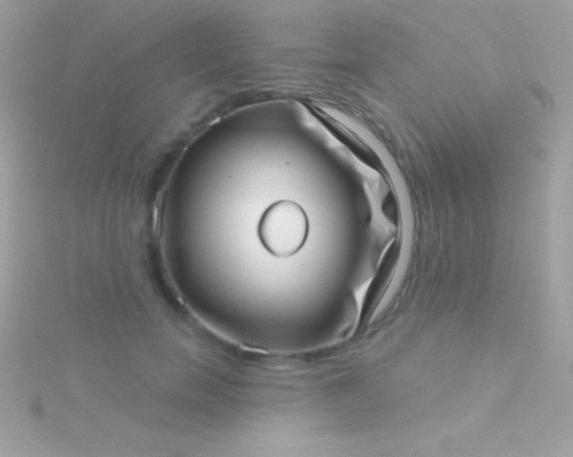 X0000115730750200911251938