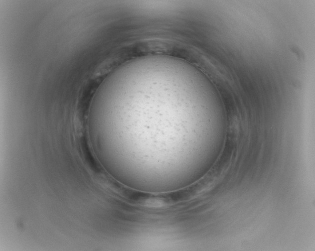 X0000115730751200911251938