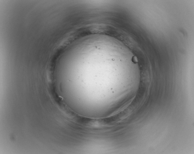 X0000115730755200911251938