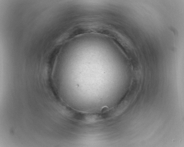 X0000115730757200911251938