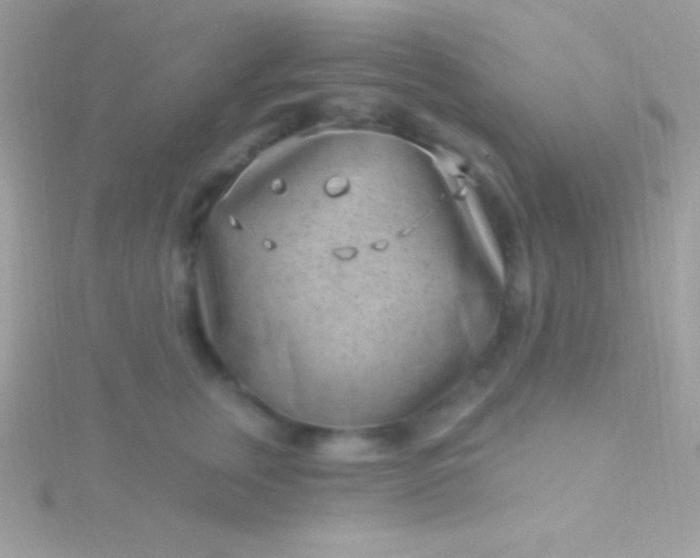 X0000115730759200911251938