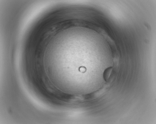 X0000115730765200911251938