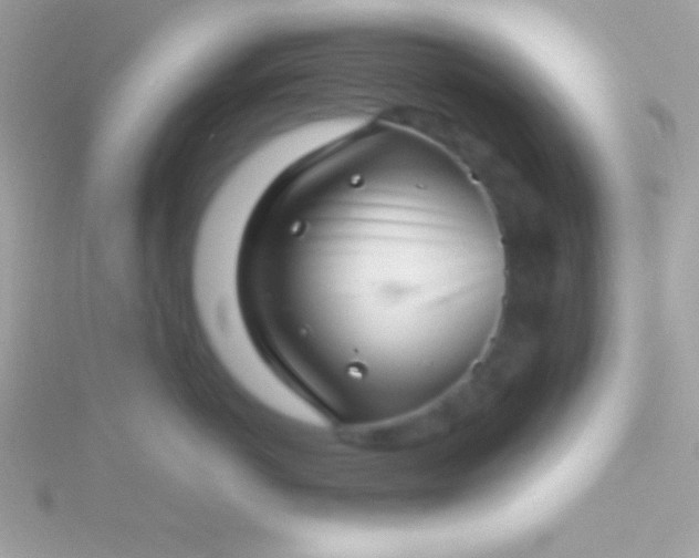 X0000115730766200911251938