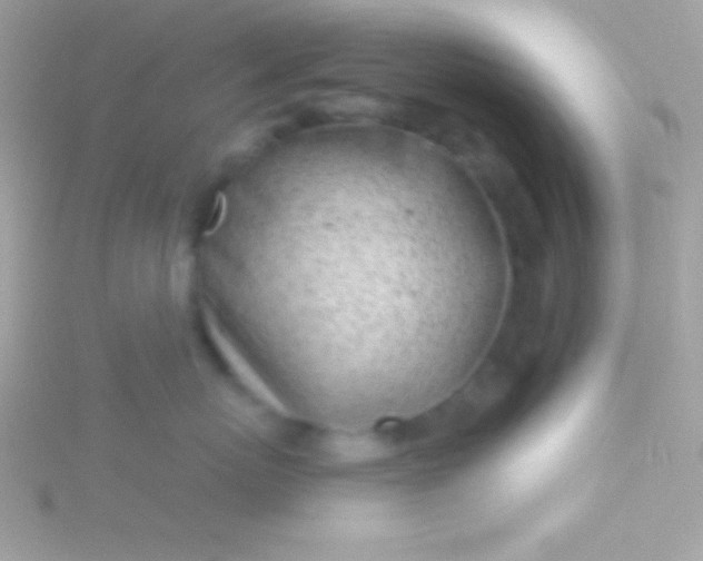 X0000115730767200911251938