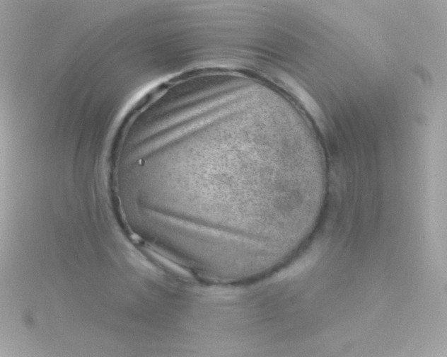 X0000115730779200911251937