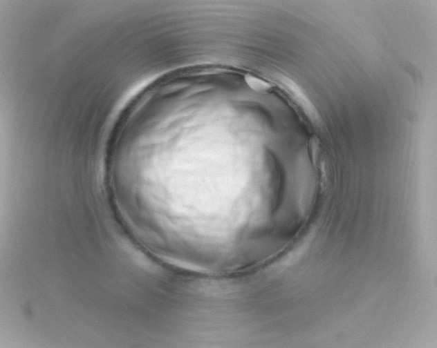 X0000115730780200911251937