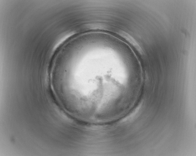 X0000115730782200911251937