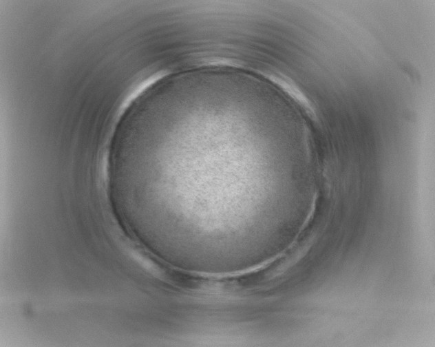 X0000115730790200911251937