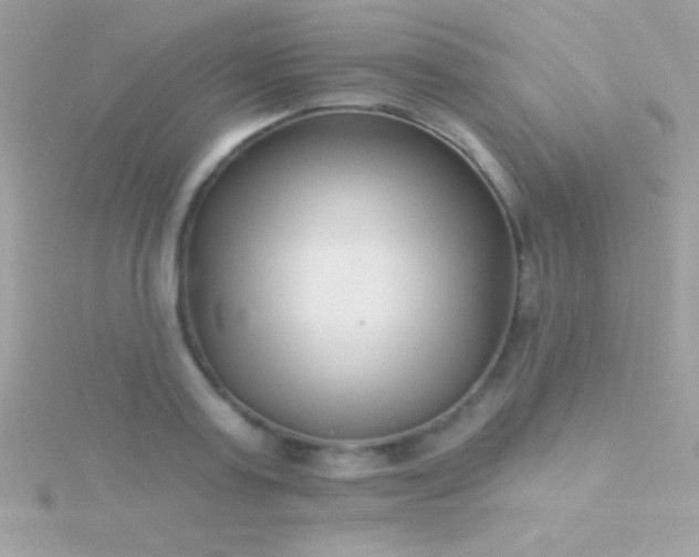 X0000115730795200911251937