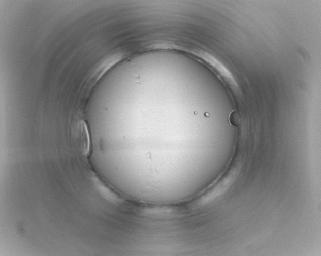 X0000115730801200911251937