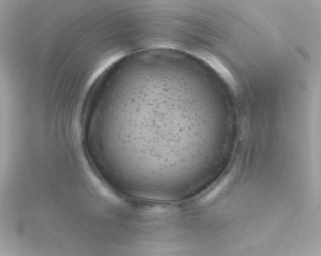 X0000115730806200911251937