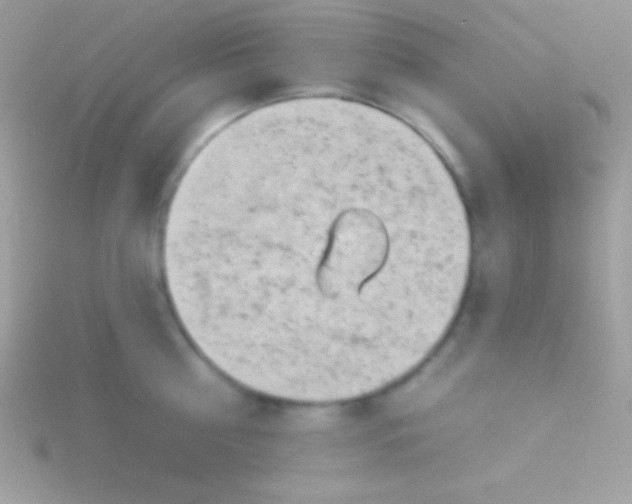 X0000115730810200911251937