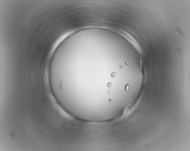 X0000115730812200911251937