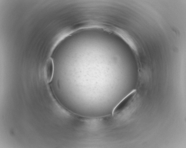 X0000115730813200911251937