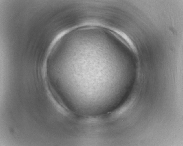 X0000115730815200911251937