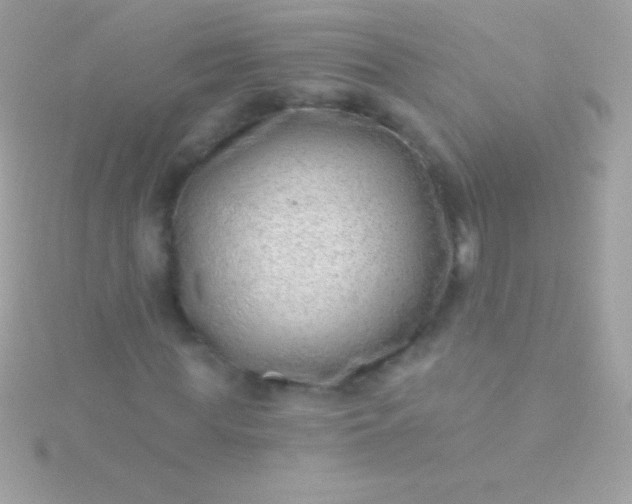 X0000115730819200911251936