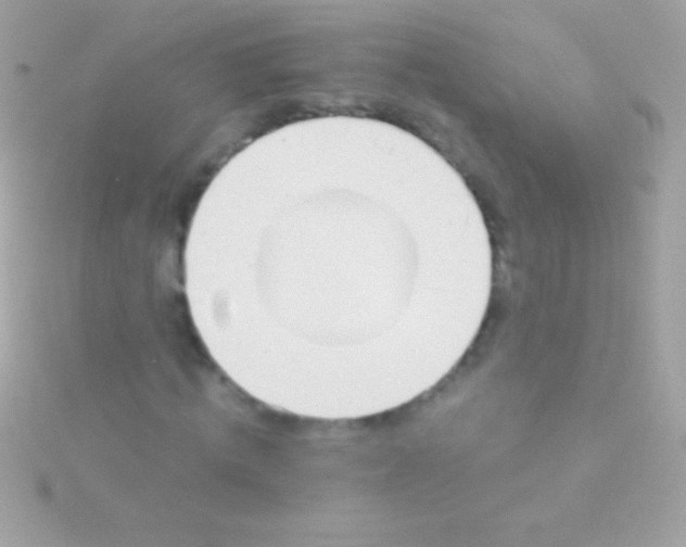 X0000115730820200911251936