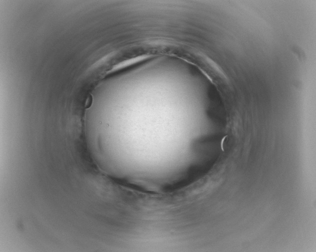 X0000115730821200911251936