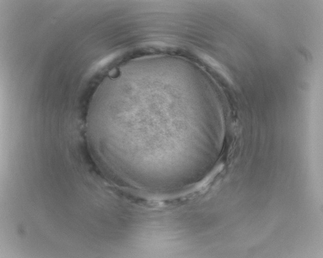 X0000115730822200911251936