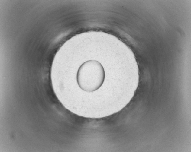 X0000115730824200911251936