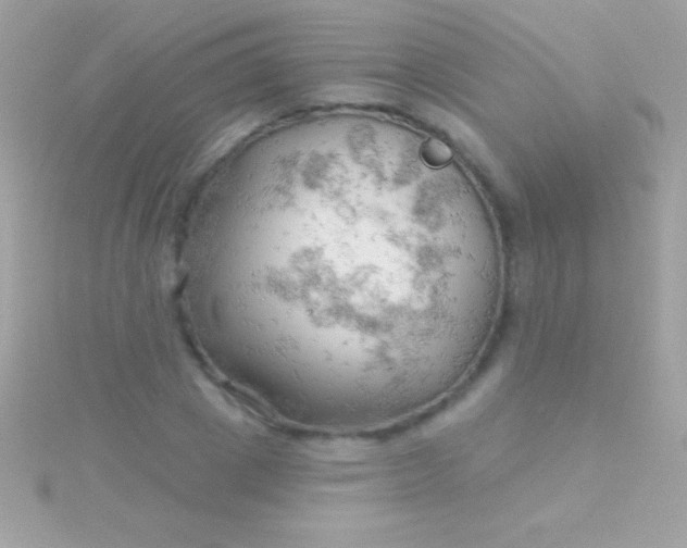 X0000115730833200911251936