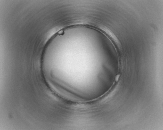 X0000115730834200911251936