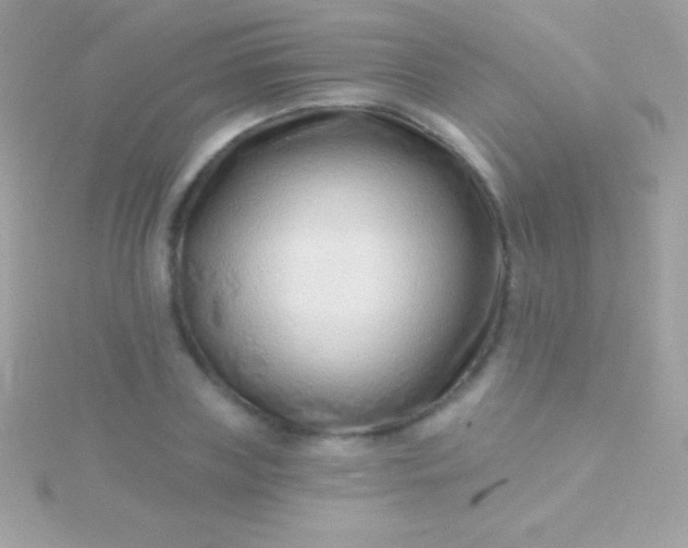 X0000115730835200911251936