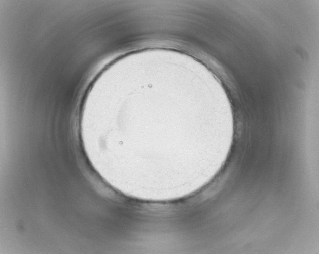 X0000115730836200911251936