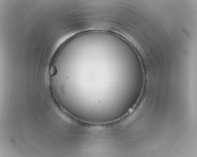 X0000115730838200911251936