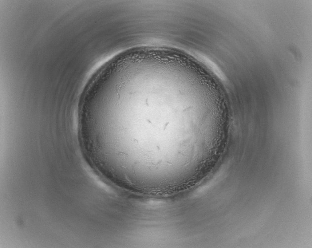 X0000115730839200911251936