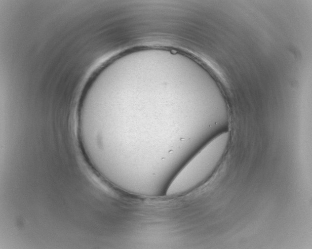 X0000115730840200911251936